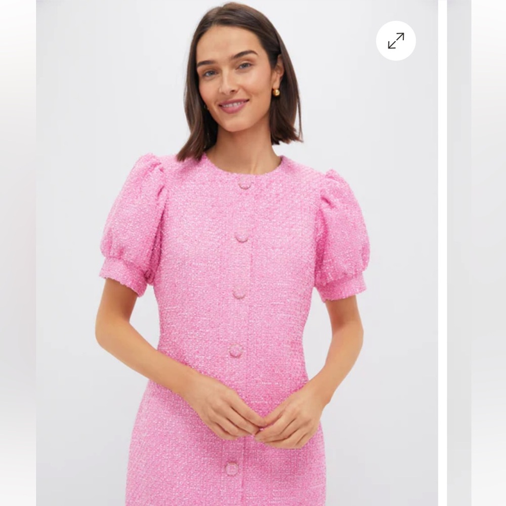 Tuckernuck Chic Pink Puff Sleeve Mini Dress